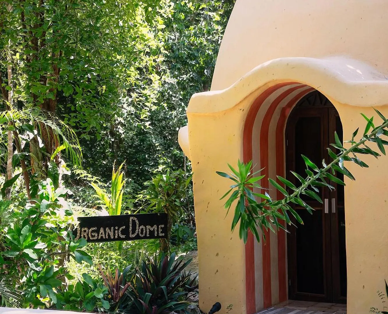 Resort Ekumal Retreat Eco Sanctuary Hotel Akumal Mexico