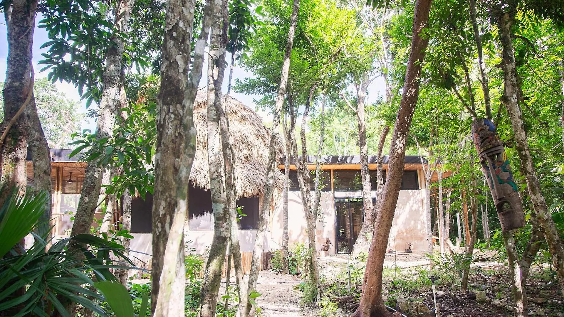 Ekumal Retreat Eco Sanctuary Hotel Akumal Mexico