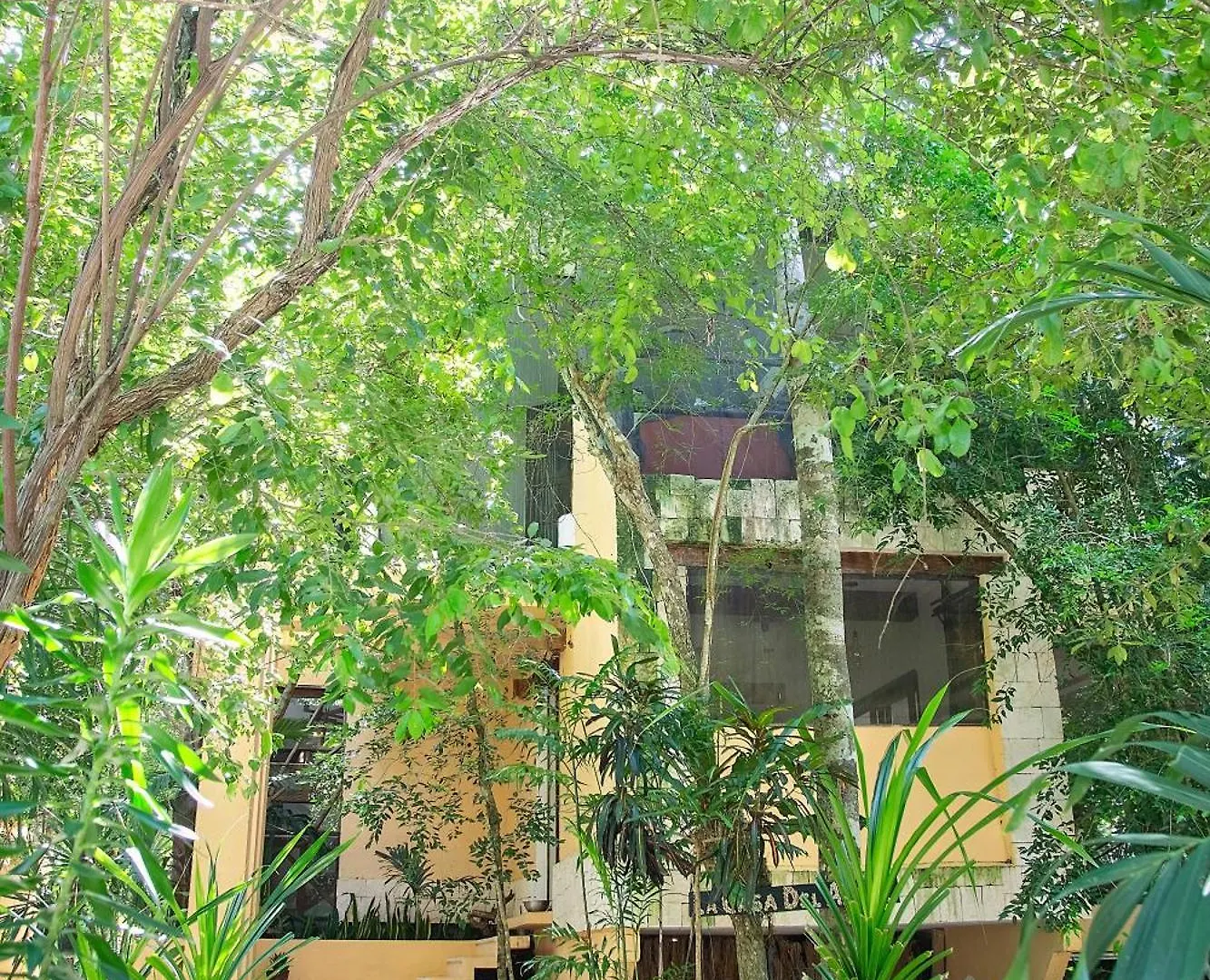 Ekumal Retreat Eco Sanctuary Hotel Akumal Mexico