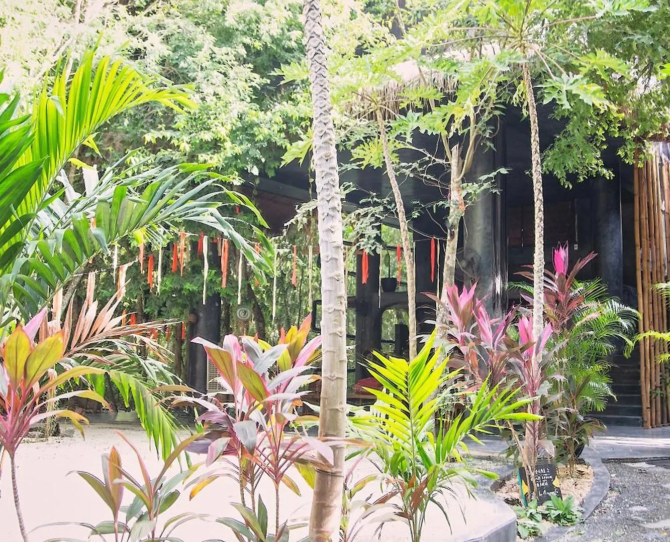 Ekumal Retreat Eco Sanctuary Hotel Akumal Resort